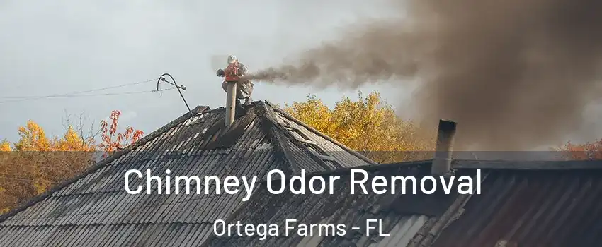 Chimney Odor Removal Ortega Farms - FL