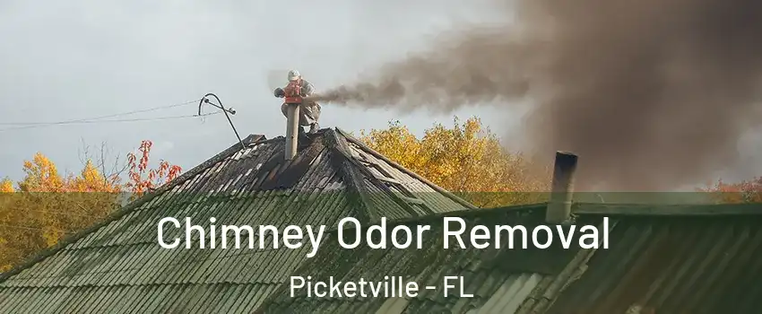 Chimney Odor Removal Picketville - FL