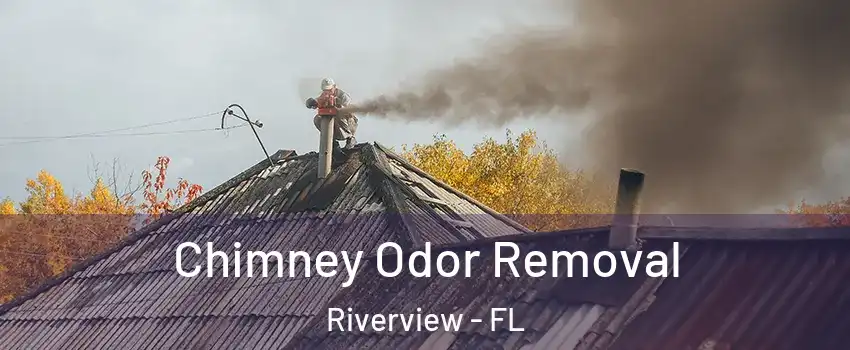 Chimney Odor Removal Riverview - FL