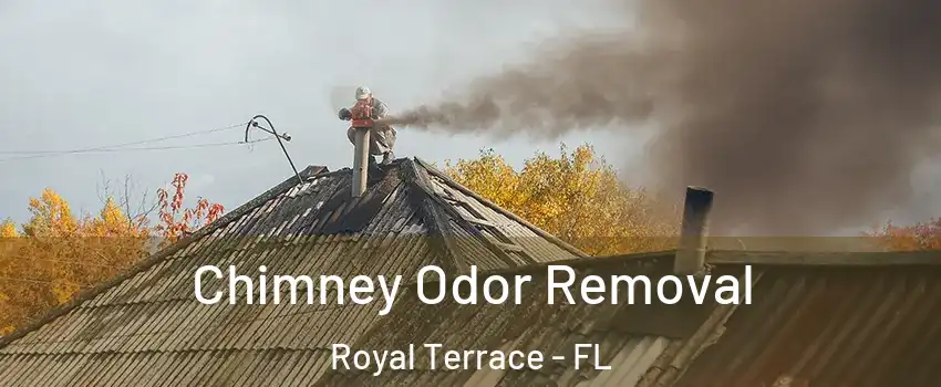 Chimney Odor Removal Royal Terrace - FL