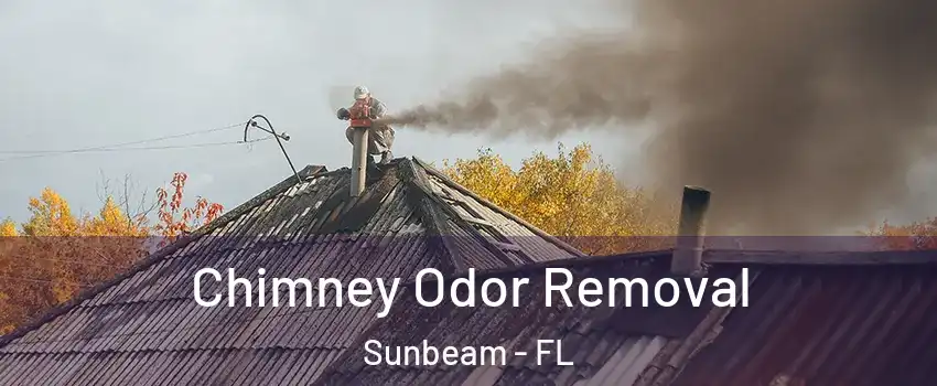 Chimney Odor Removal Sunbeam - FL