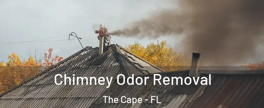 Chimney Odor Removal The Cape - FL