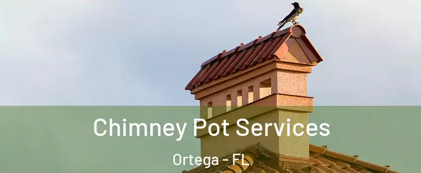 Chimney Pot Services Ortega - FL