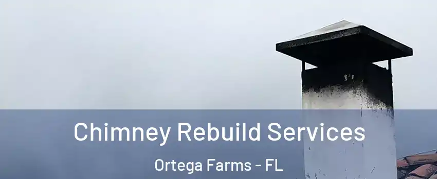 Chimney Rebuild Services Ortega Farms - FL