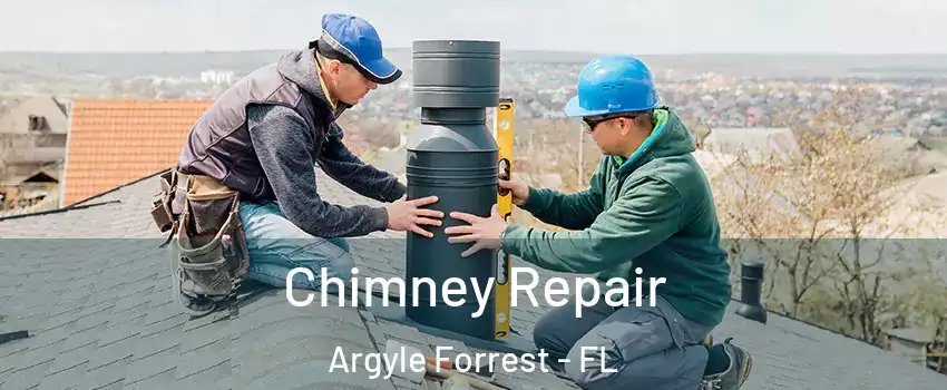 Chimney Repair Argyle Forrest - FL