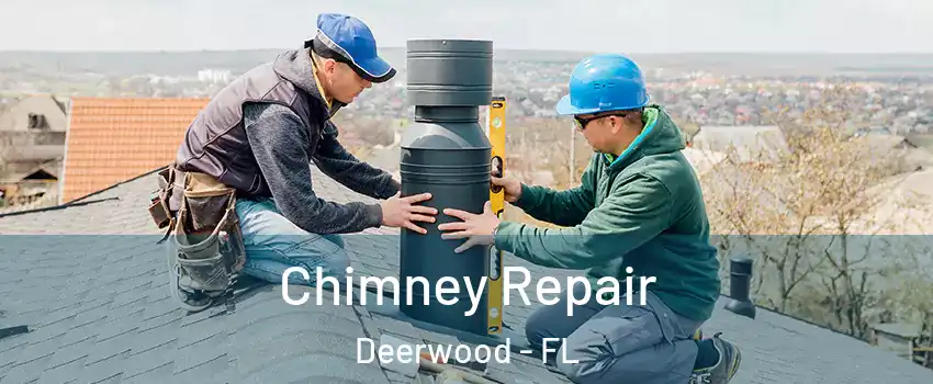 Chimney Repair Deerwood - FL