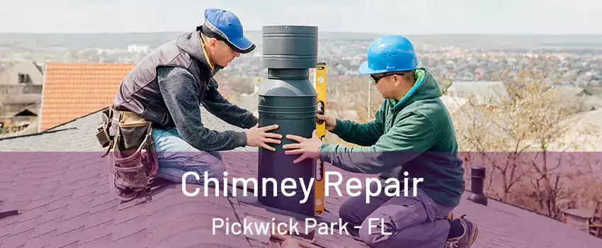Chimney Repair Pickwick Park - FL