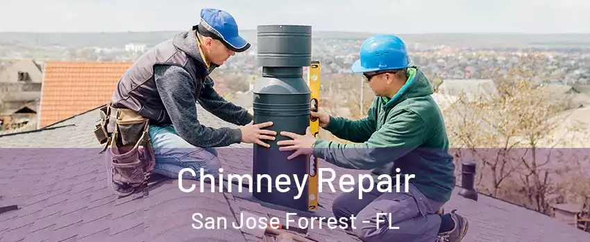 Chimney Repair San Jose Forrest - FL