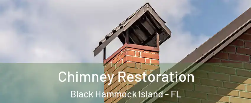 Chimney Restoration Black Hammock Island - FL