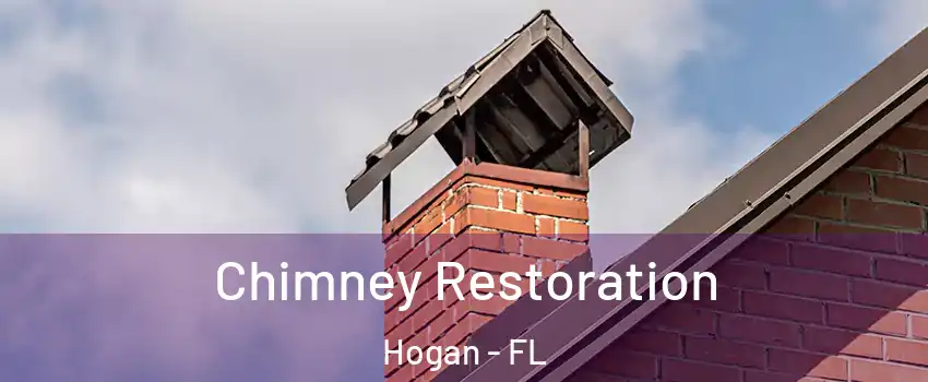 Chimney Restoration Hogan - FL