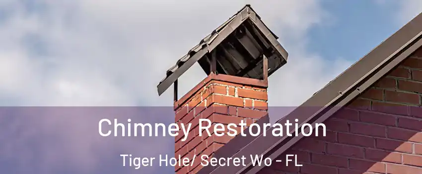 Chimney Restoration Tiger Hole/ Secret Wo - FL