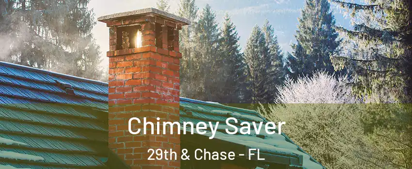 Chimney Saver 29th & Chase - FL