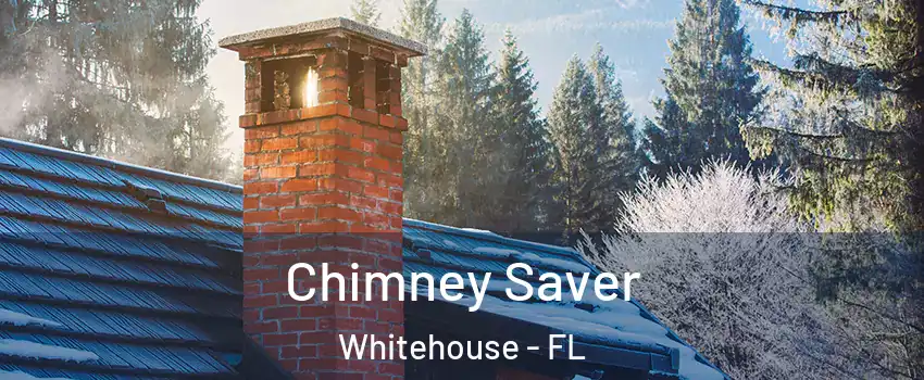 Chimney Saver Whitehouse - FL
