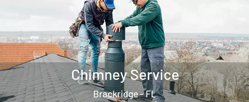Chimney Service Brackridge - FL