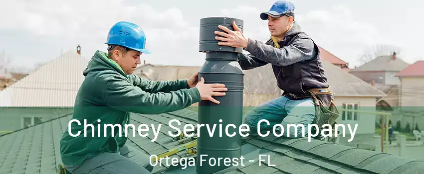 Chimney Service Company Ortega Forest - FL