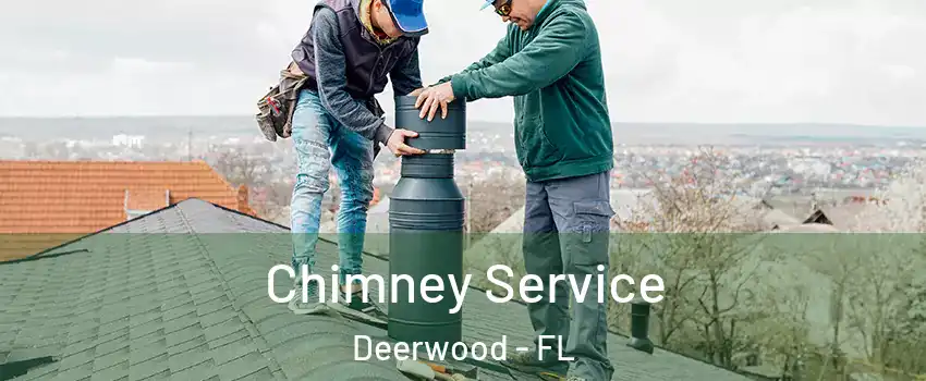 Chimney Service Deerwood - FL