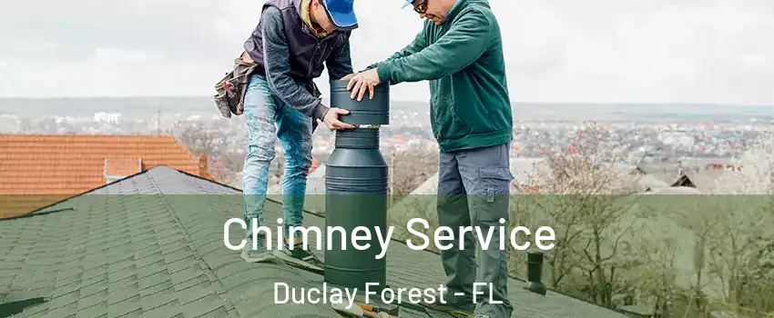 Chimney Service Duclay Forest - FL