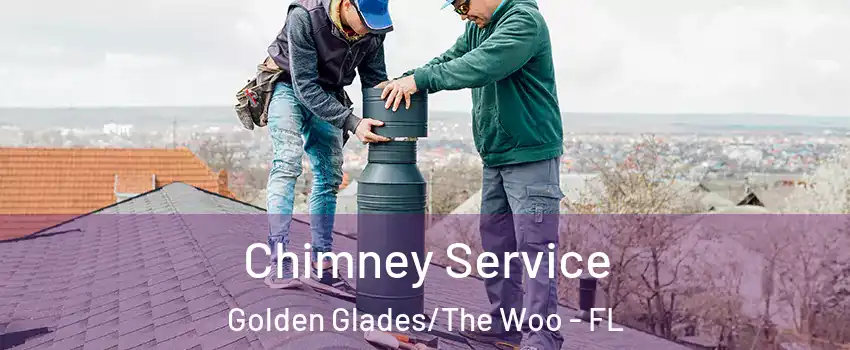 Chimney Service Golden Glades/The Woo - FL