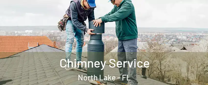 Chimney Service North Lake - FL