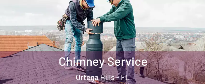 Chimney Service Ortega Hills - FL