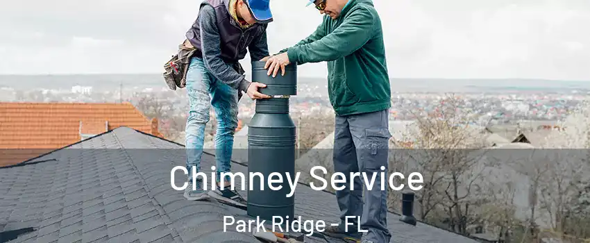 Chimney Service Park Ridge - FL