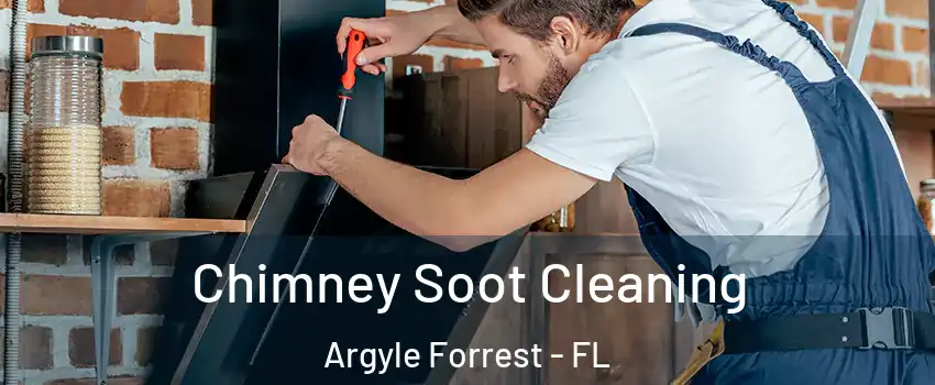 Chimney Soot Cleaning Argyle Forrest - FL