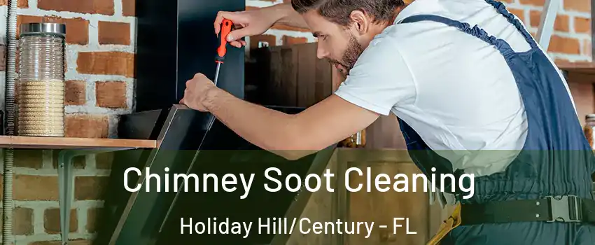 Chimney Soot Cleaning Holiday Hill/Century - FL