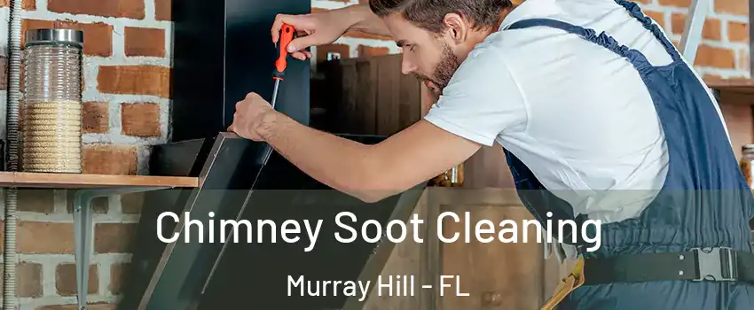 Chimney Soot Cleaning Murray Hill - FL
