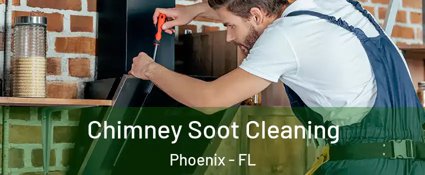 Chimney Soot Cleaning Phoenix - FL