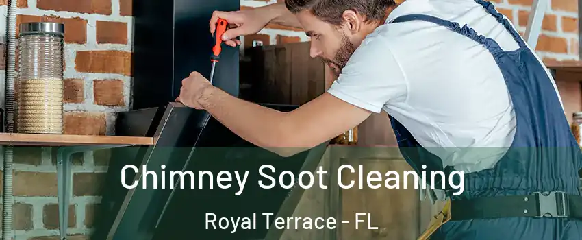 Chimney Soot Cleaning Royal Terrace - FL