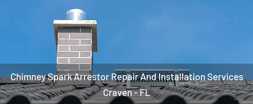 Chimney Spark Arrestor Repair And Installation Services Craven - FL