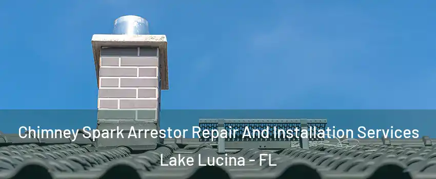 Chimney Spark Arrestor Repair And Installation Services Lake Lucina - FL