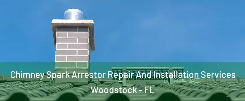 Chimney Spark Arrestor Repair And Installation Services Woodstock - FL