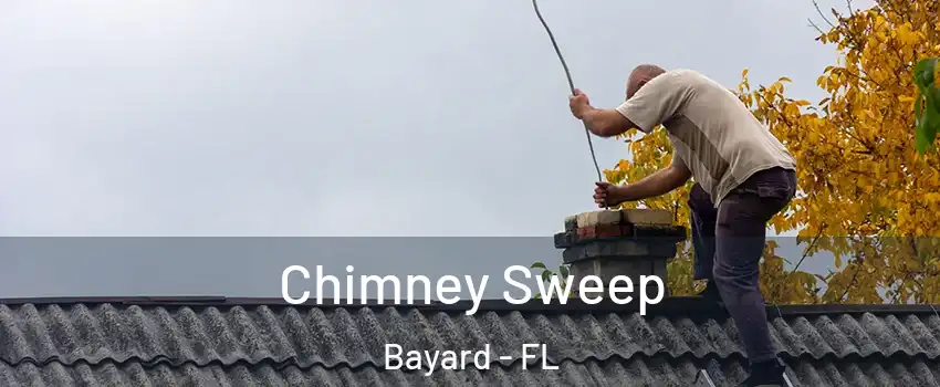 Chimney Sweep Bayard - FL