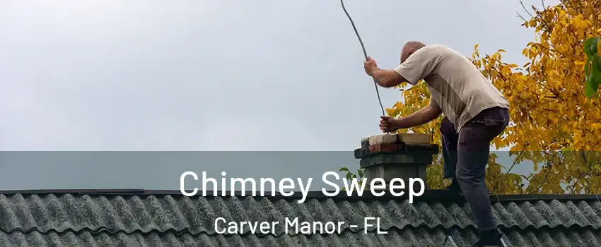 Chimney Sweep Carver Manor - FL
