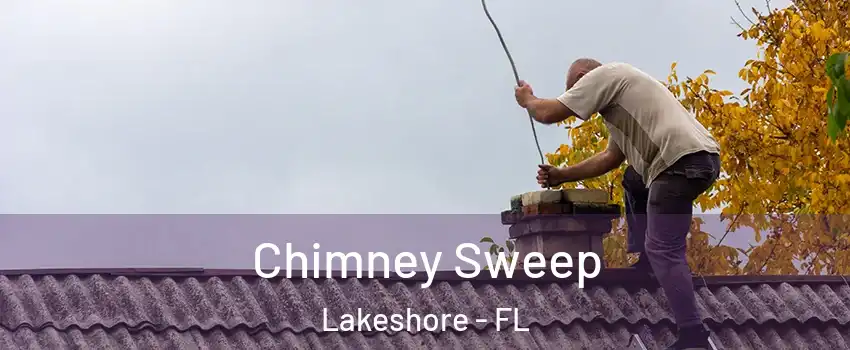 Chimney Sweep Lakeshore - FL