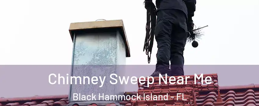 Chimney Sweep Near Me Black Hammock Island - FL