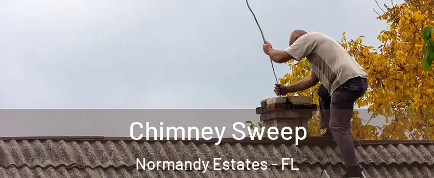 Chimney Sweep Normandy Estates - FL