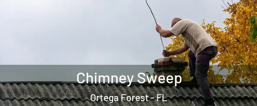 Chimney Sweep Ortega Forest - FL