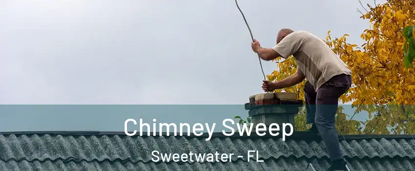 Chimney Sweep Sweetwater - FL