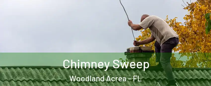Chimney Sweep Woodland Acrea - FL