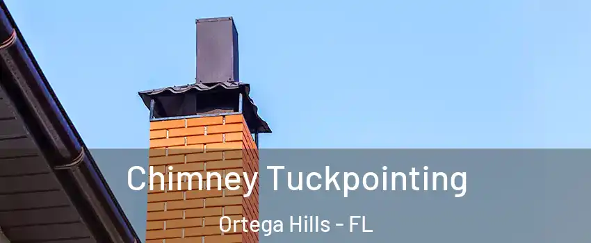 Chimney Tuckpointing Ortega Hills - FL