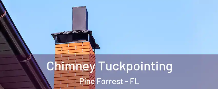 Chimney Tuckpointing Pine Forrest - FL