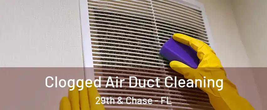 Clogged Air Duct Cleaning 29th & Chase - FL