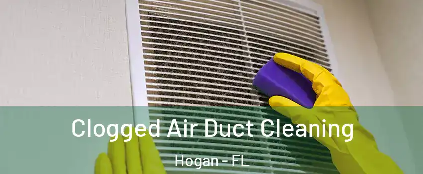 Clogged Air Duct Cleaning Hogan - FL