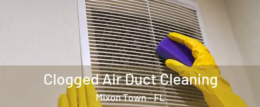 Clogged Air Duct Cleaning Mixon Town - FL
