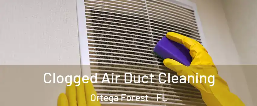Clogged Air Duct Cleaning Ortega Forest - FL