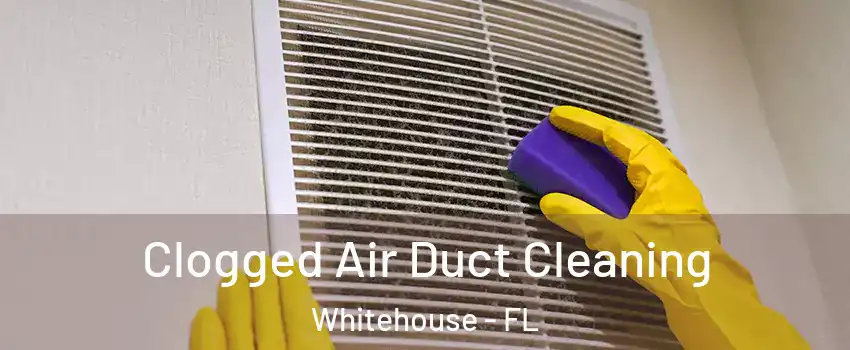 Clogged Air Duct Cleaning Whitehouse - FL
