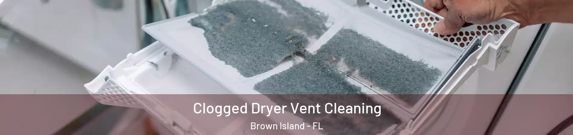 Clogged Dryer Vent Cleaning Brown Island - FL