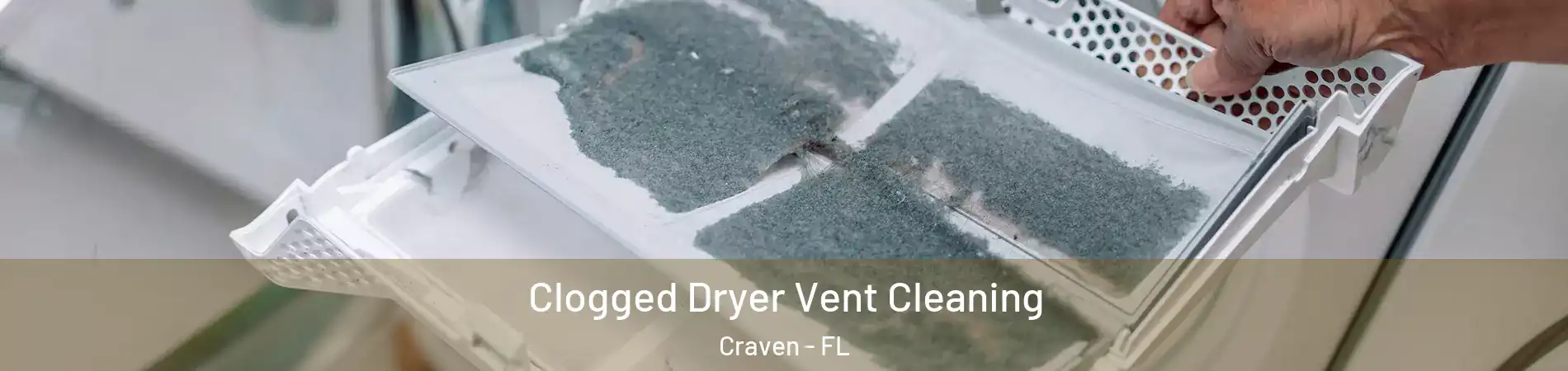 Clogged Dryer Vent Cleaning Craven - FL